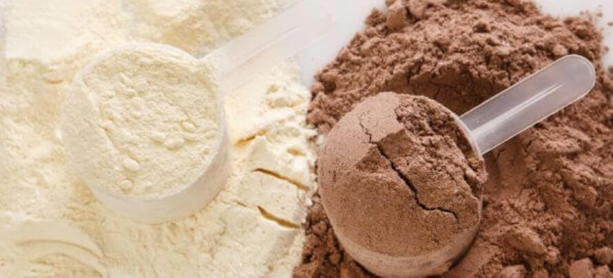 best protein powders