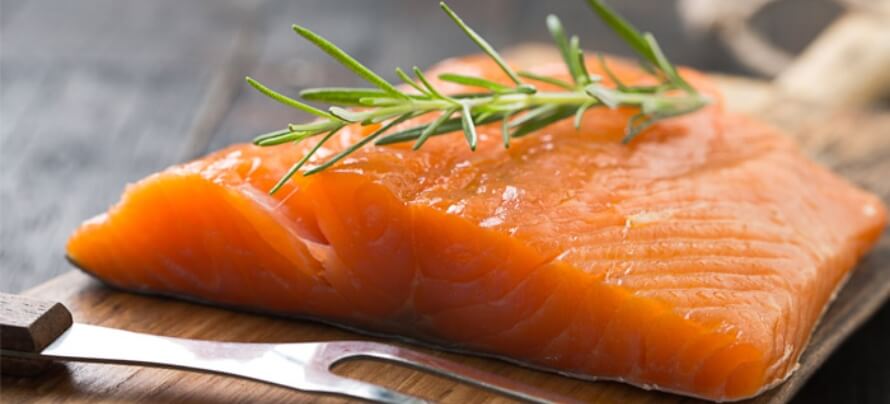 salmon 