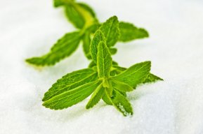 Use Stevia as a Zero-Calorie Sweetener with Benefits