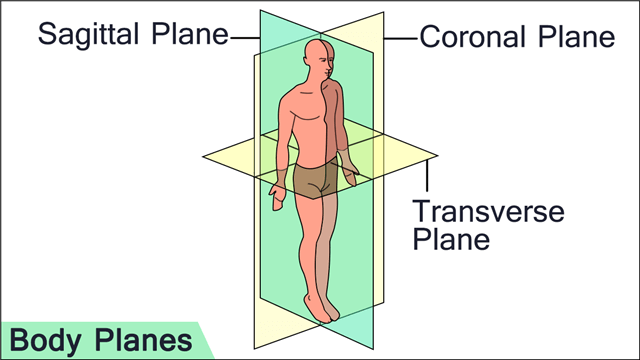 640-body-planes