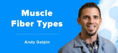 Ep. #517: Dr. Andy Galpin on Muscle Fiber Types and Muscle Growth