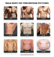 body fat calculator for women