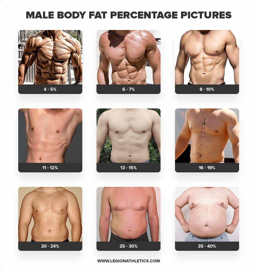 body fat percentages for males