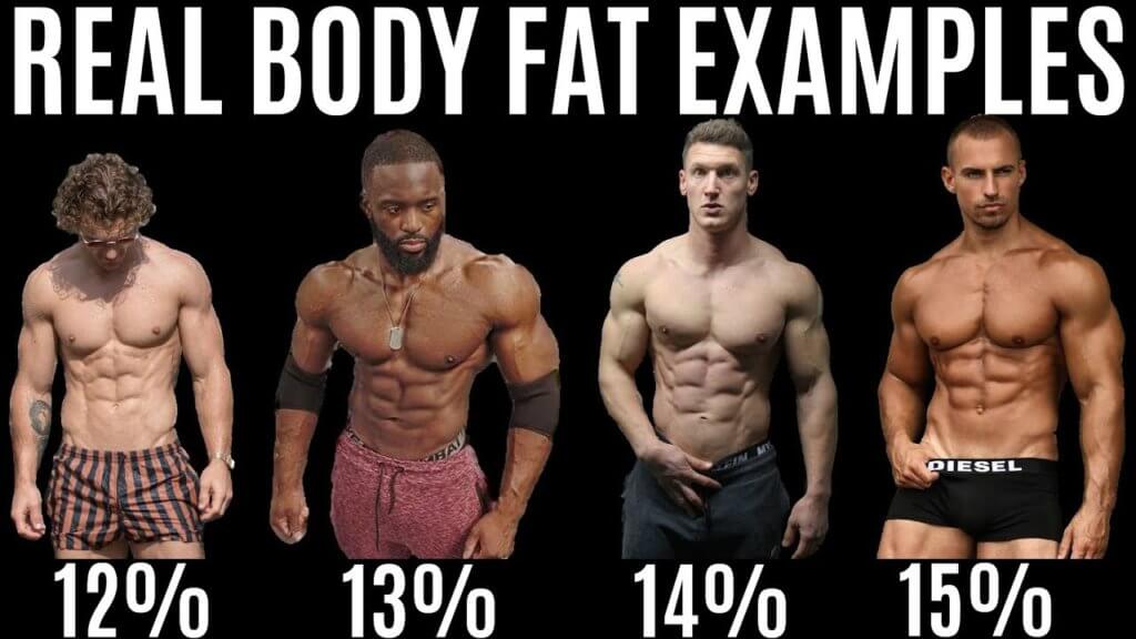 body fat calculator for weightlifters