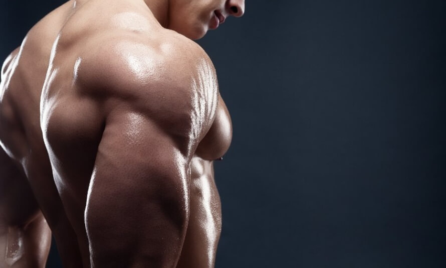 10 Reasons Why You Are Still An Amateur At oral steroids