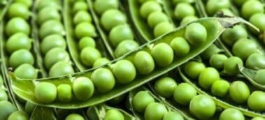 This Is Everything You Need to Know About Pea Protein