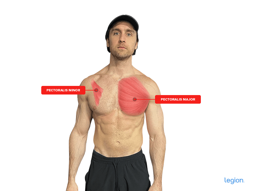 Chest workout discount routine at home