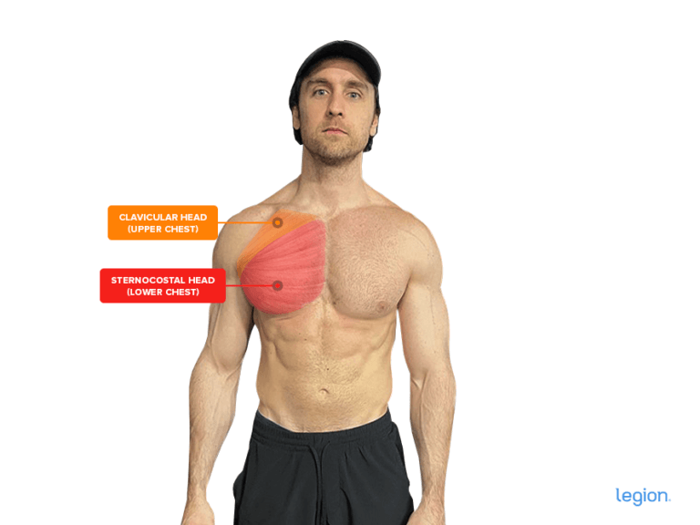 Chests Workouts at Home: Growing Pecs Without a Gym | Legion