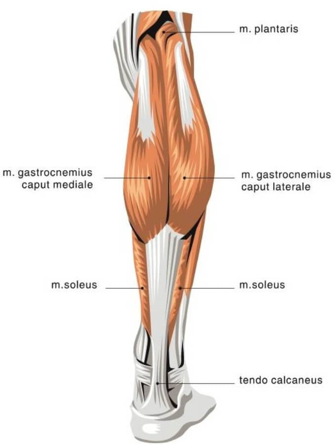 How to front squat grip