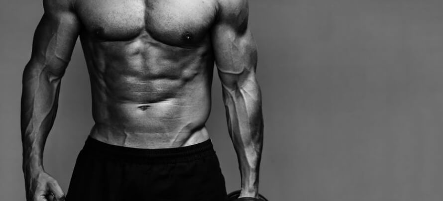 How Long Can You Keep Building Muscle?