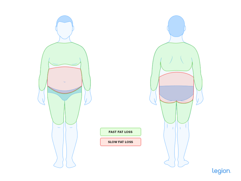 where do hourglass figures lose weight first
