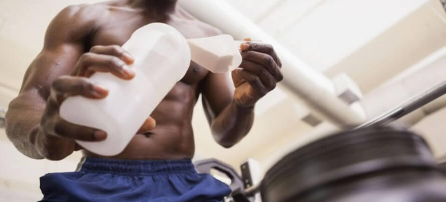 highest source of protein powder