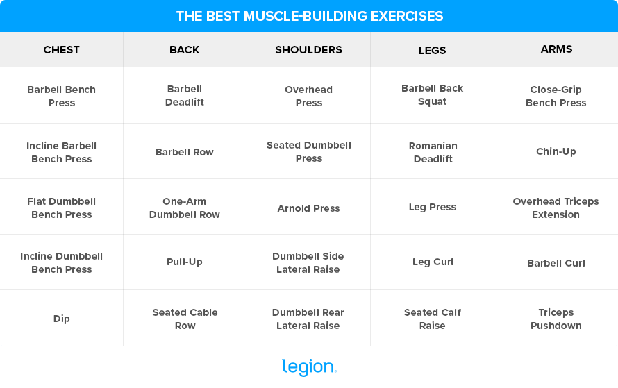 The Best Muscle-Building Exercises