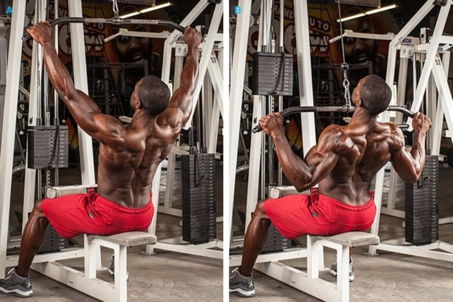 Lat Pulldown Exercise Lat Pulldown Exercise