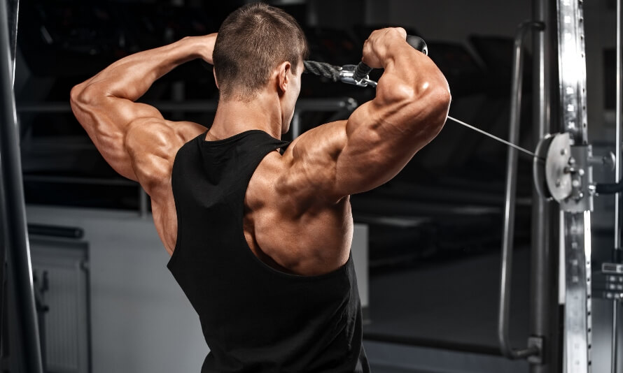 rear delt exercises face pulls