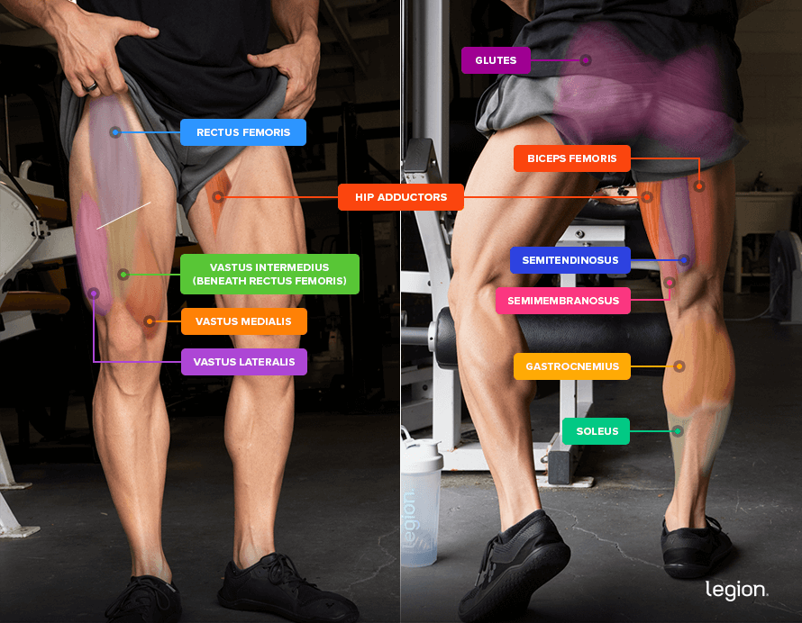 How to Do the Dumbbell Front Squat for Leg Size and Strength