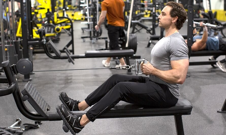 How To Do The Seated Cable Row Muscles Worked Form And Alternatives