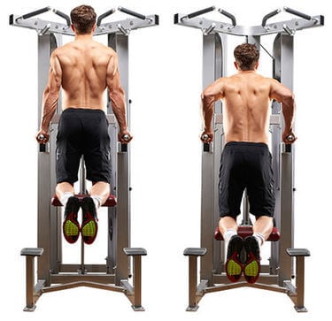 Bodyweight dips for discount chest