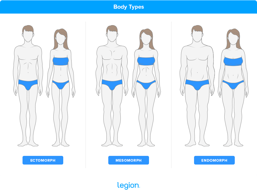 Body-Types (2)