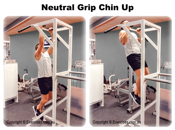 Neutral-Grip Chin-up