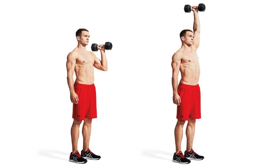 dumbbell overhead press muscles worked