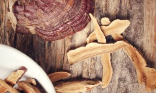 The Complete Guide to Mushroom Supplements
