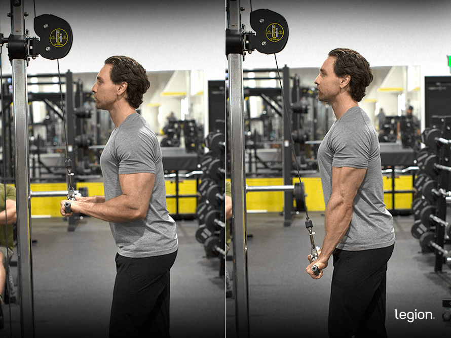 Triceps Pushdown before after