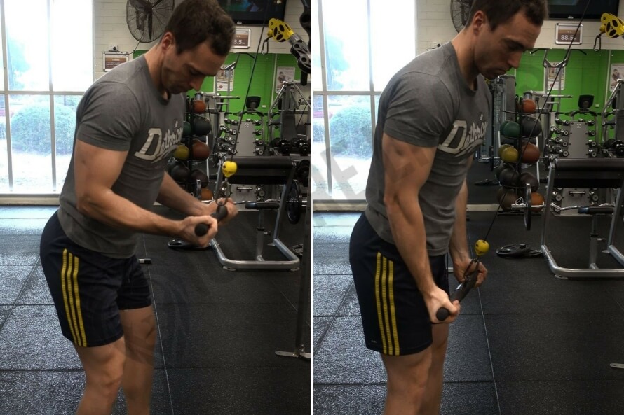 Reverse-Grip Triceps Pushdown