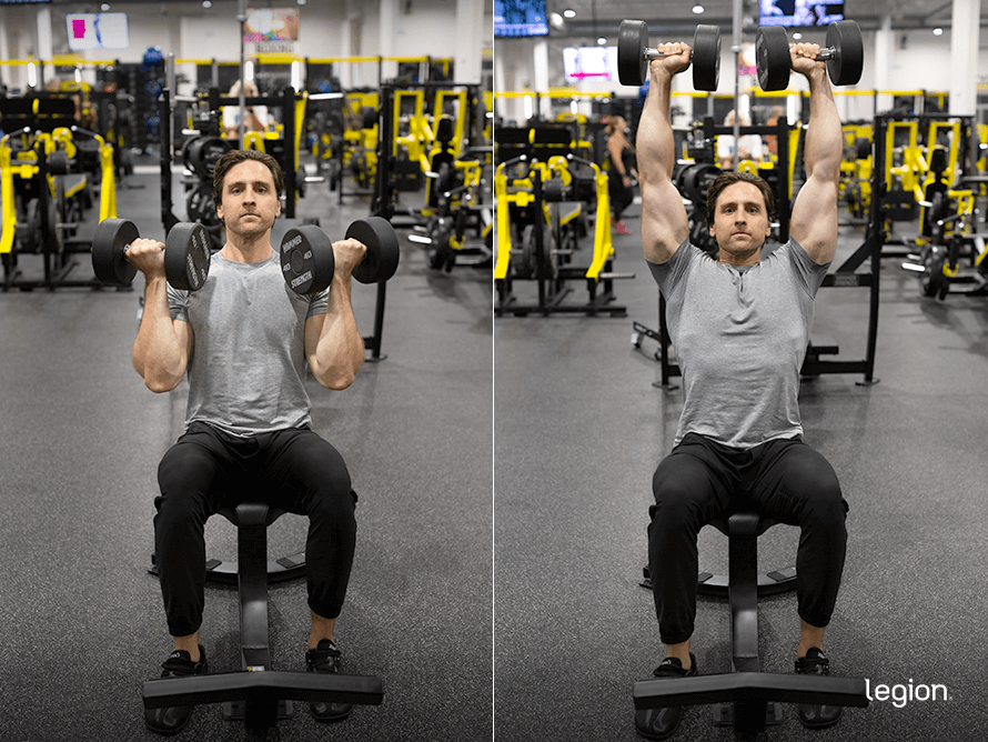 Seated overhead press discount dumbbell