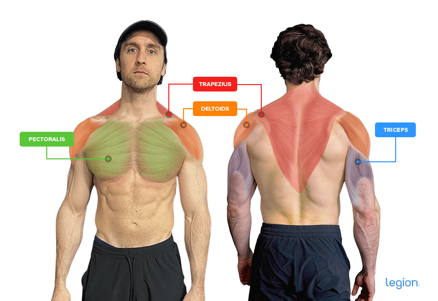 seated military press muscles worked