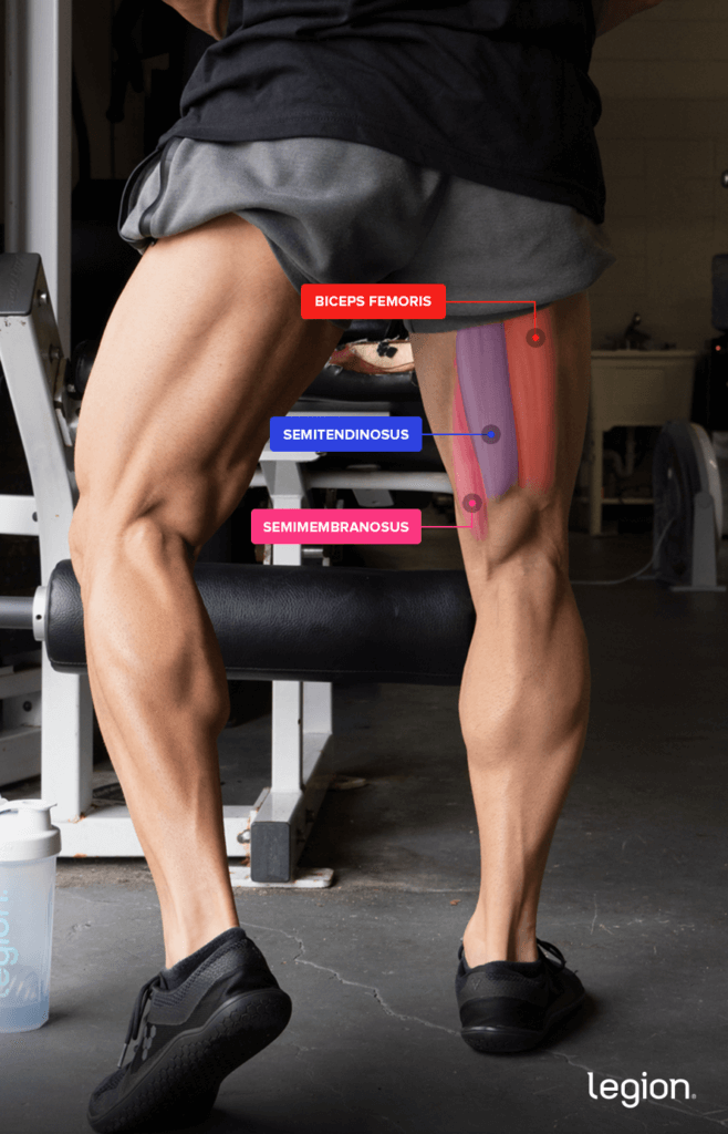 Hanging Leg Curl - Instructions, Information & Alternatives