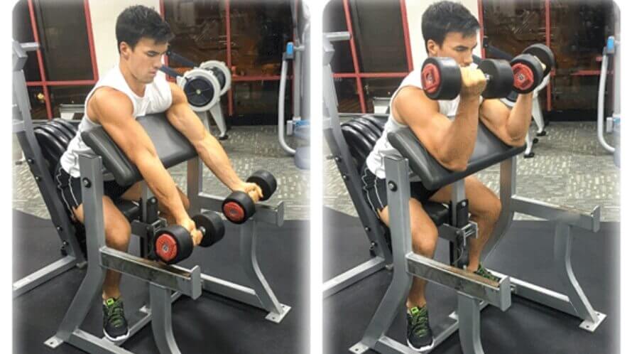 Dumbbell Preacher Curl