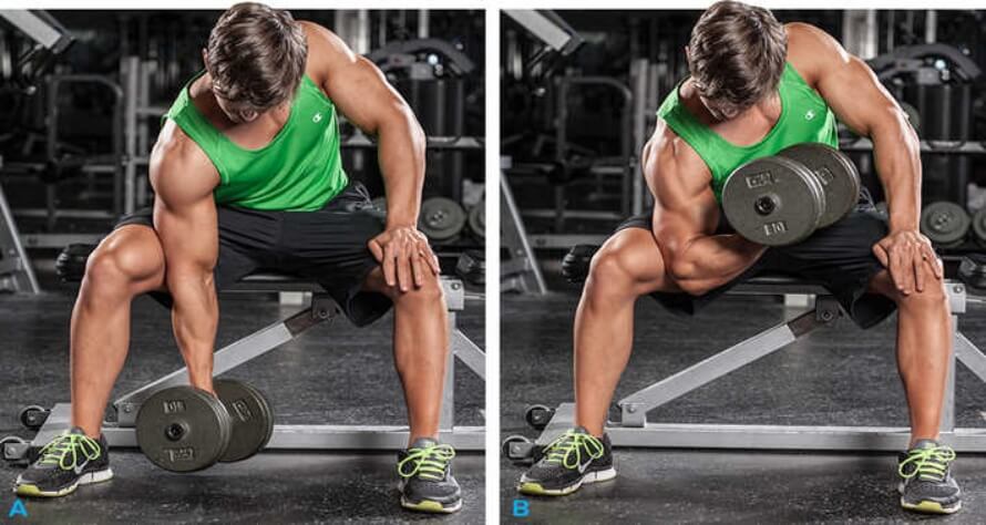 dumbbell or barbell curls