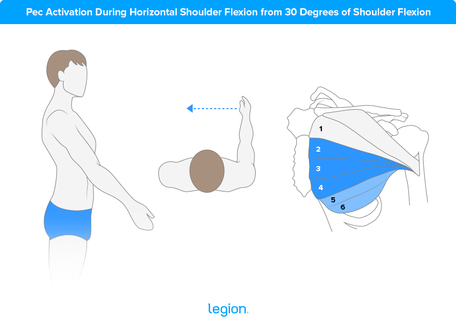 pectoralis-major-muscle-movement-2