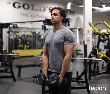 Side Lateral Raise gif