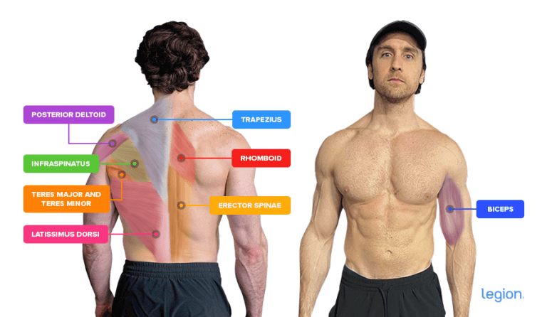 Pull-up vs. Chin-up: Muscles Worked, Differences, and Variations | Legion