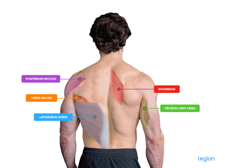 Cable Pullover Exercise: Muscles Worked, Form, and Alternatives | Legion