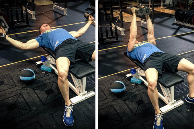 The Best Isolation Exercises for Glutes Chest Quads and More