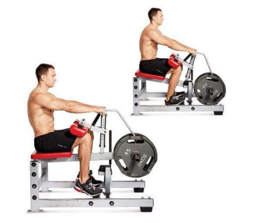 Seated-Calf-Raise-Machine