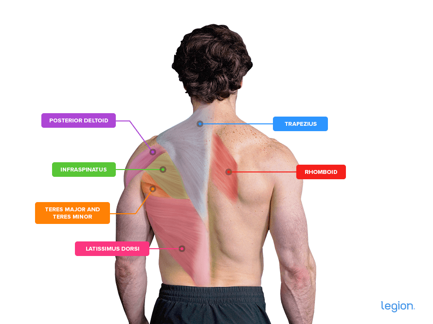 Chest and back workout with some alternative movements included. They , chest supported dumbbell rows