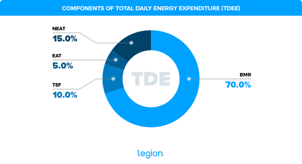 Graph containing elements that contribute to daily TDEE
