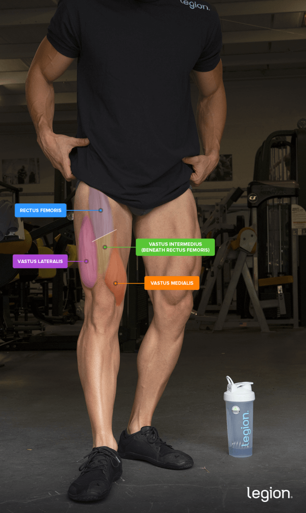 Alternatives to Leg Extensions You Should Be Aware Of