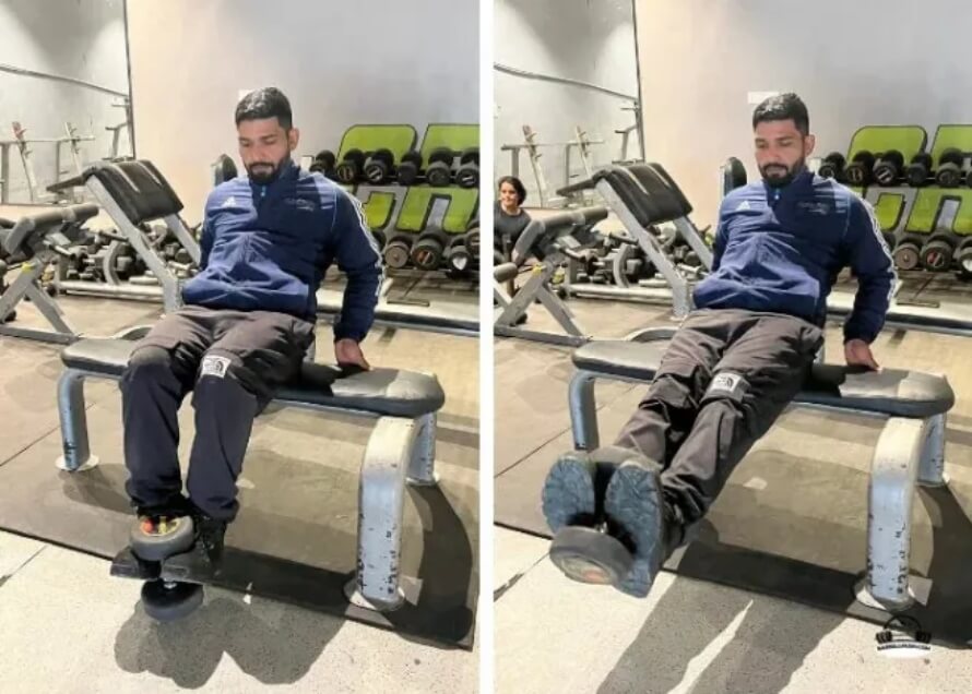 seated leg extension 