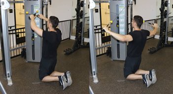 Machine Reverse Fly: Alternatives, Muscles Worked & Form