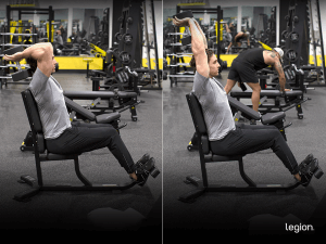 The Best Long Head Tricep Exercises for Mass | Legion