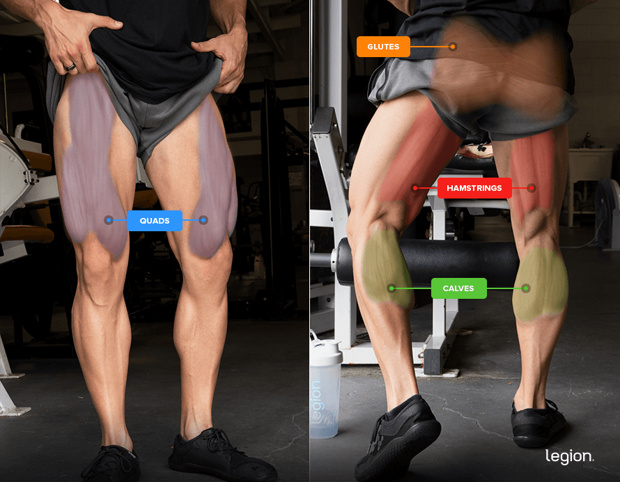 Chris Barakat's Lower-Body Muscles