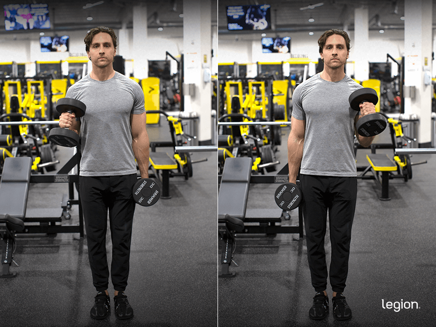 Dumbbell Hammer Curl before/after