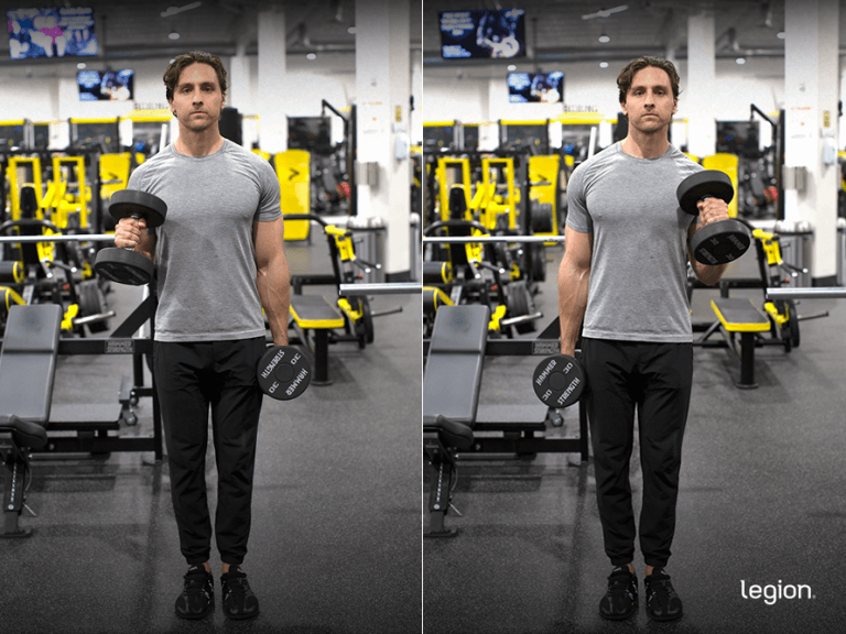 Hammer Curl vs. Bicep Curl Which Is Best for Bigger Biceps? Legion