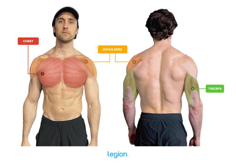 Best Push Day Exercises Lifts & Workout Splits Legion