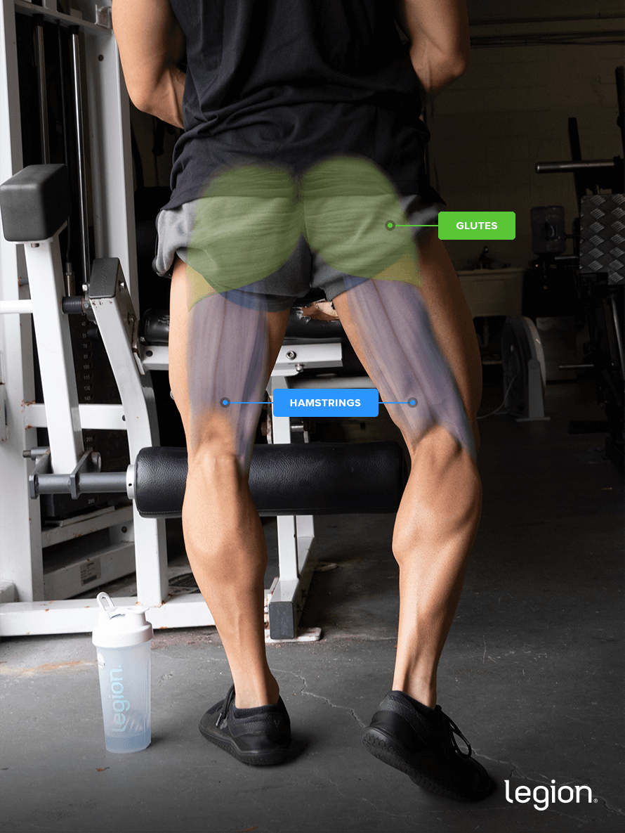 Muscles Worked by the Glute-Ham Raise